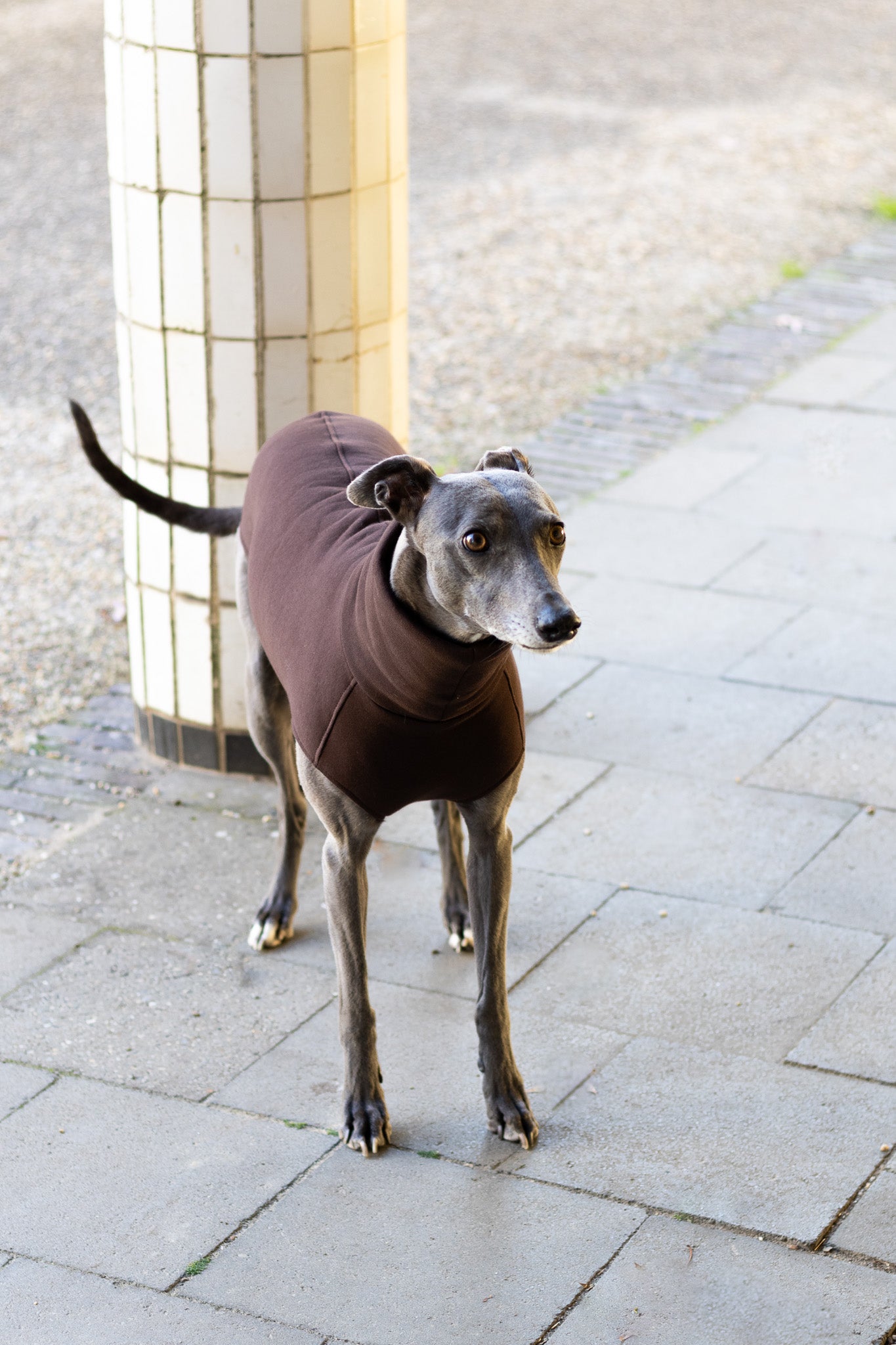 The Daily Sleeveless