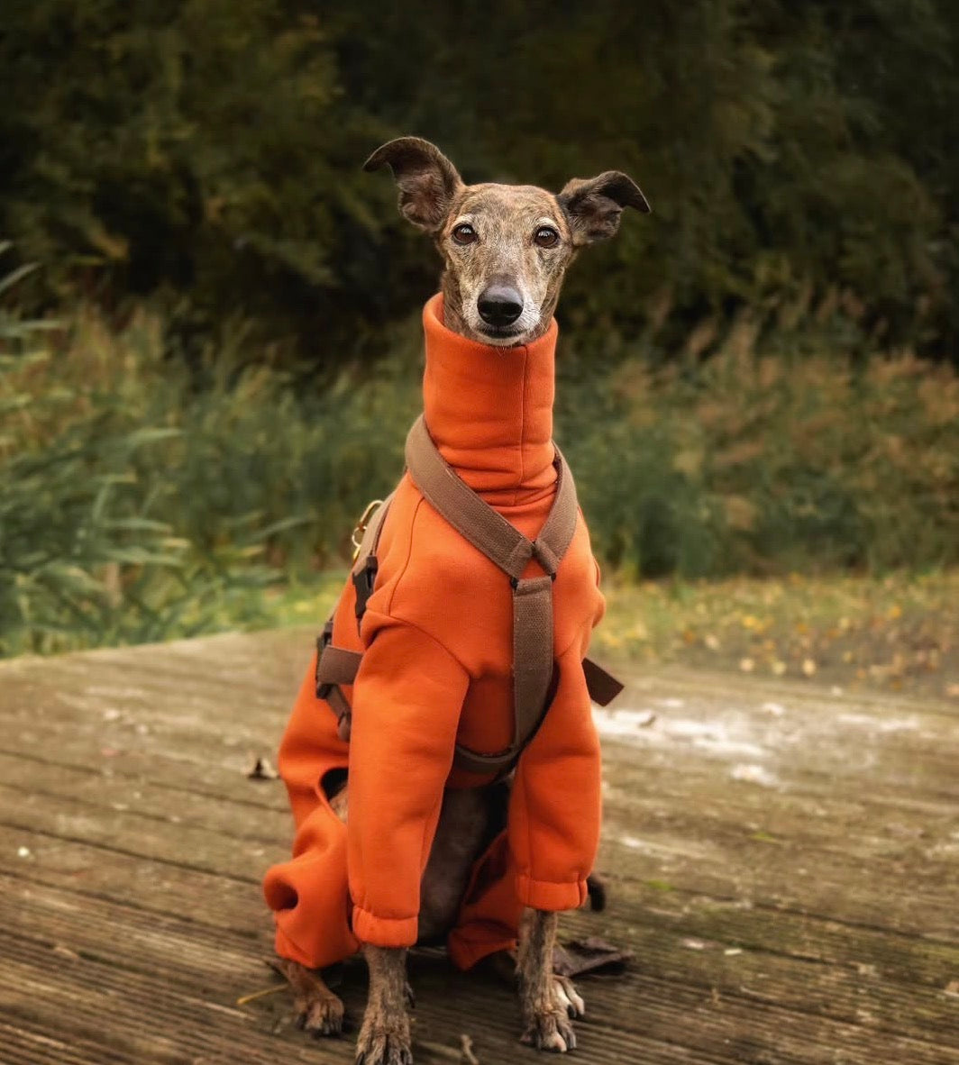 Houndsuit RTS Rust - 3XL