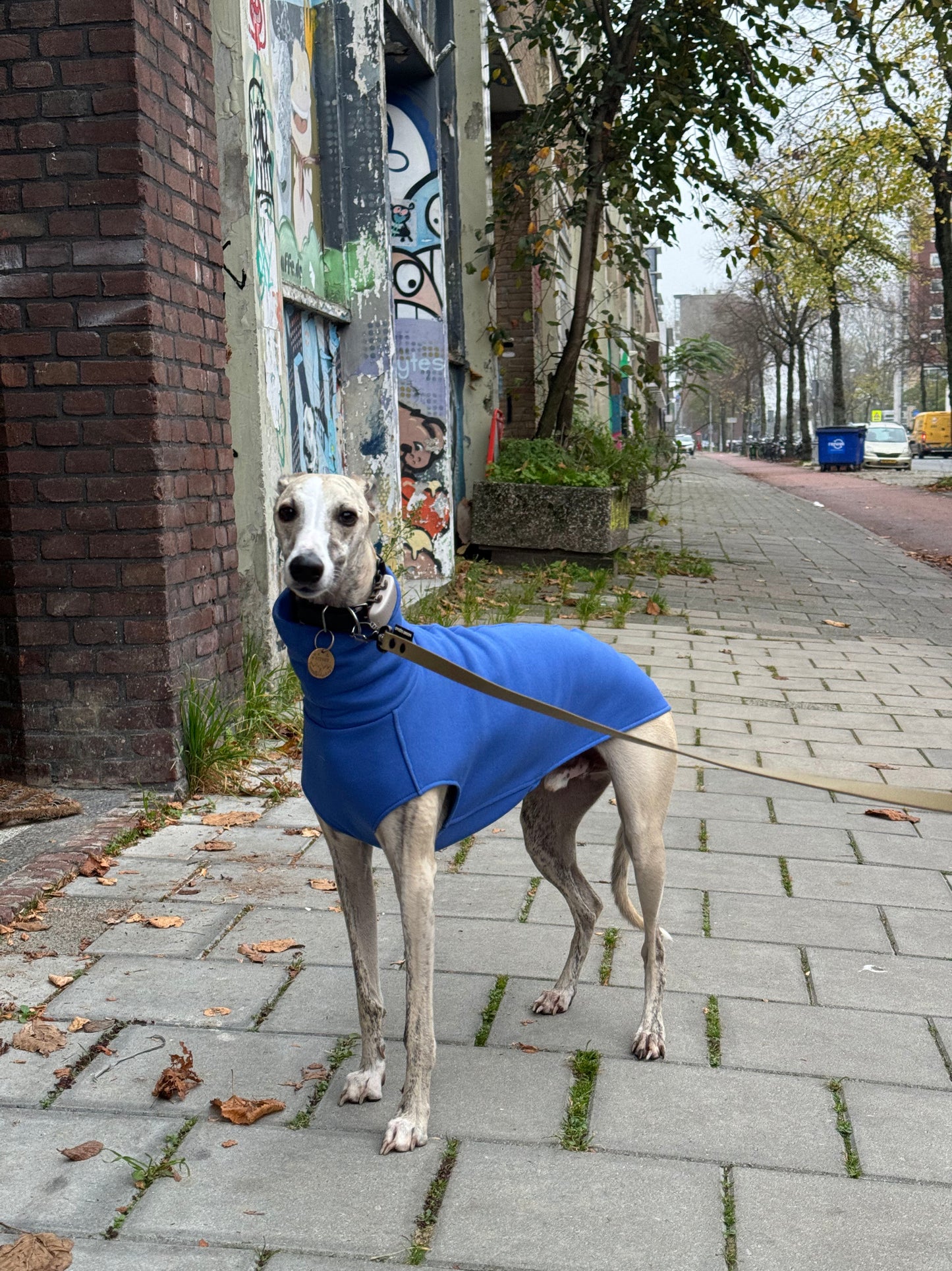 The Daily Sleeveless RTS Cobalt - M