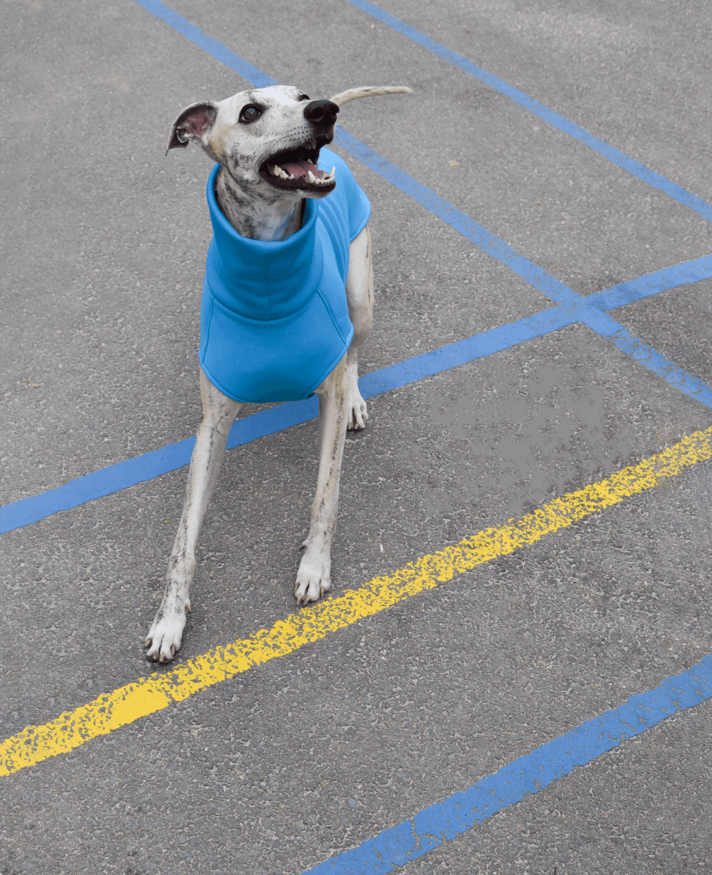 The Daily Longsleeve (Wholesale) - Skinny Dog Collective
