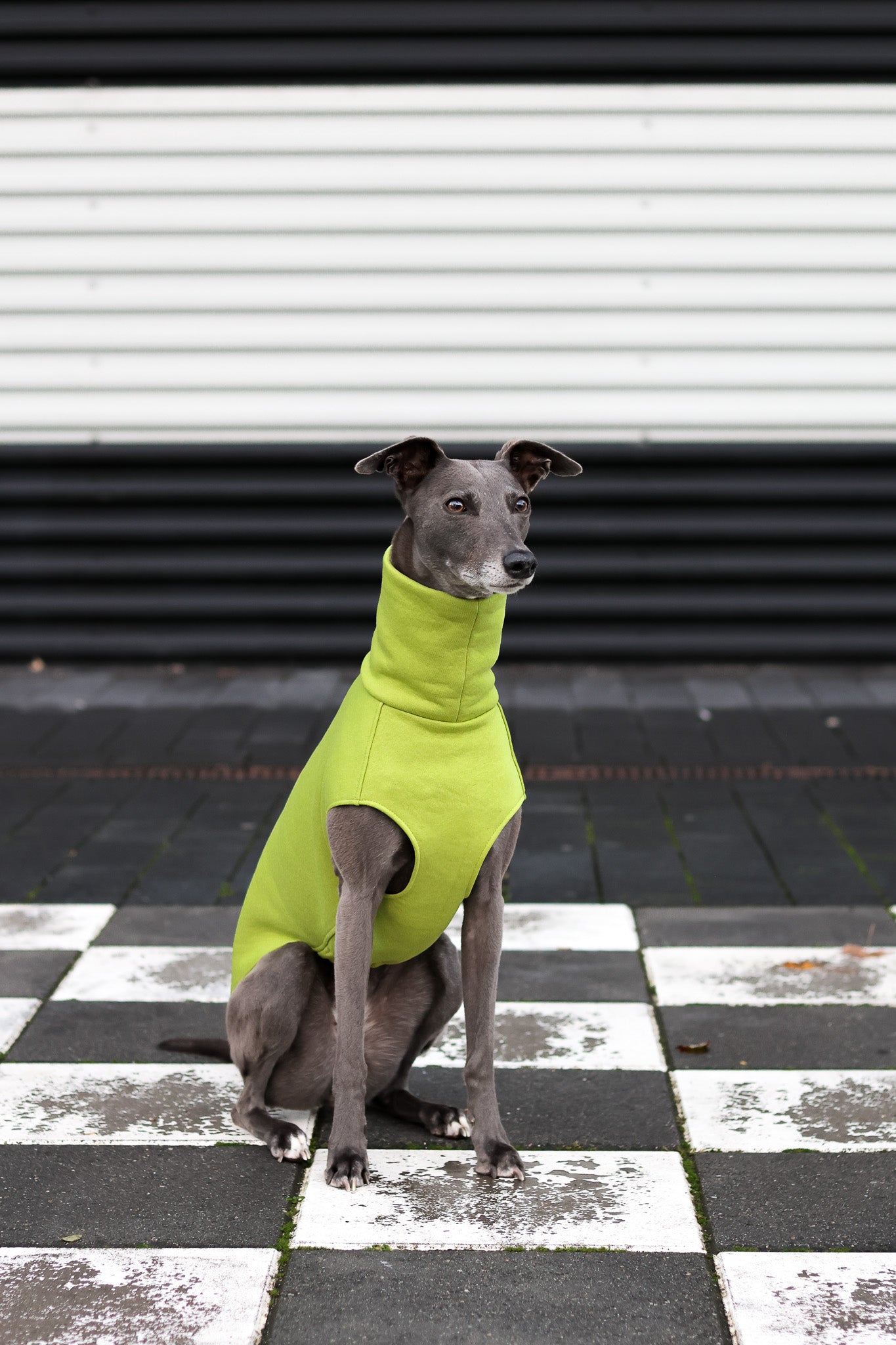 The Daily Sleeveless