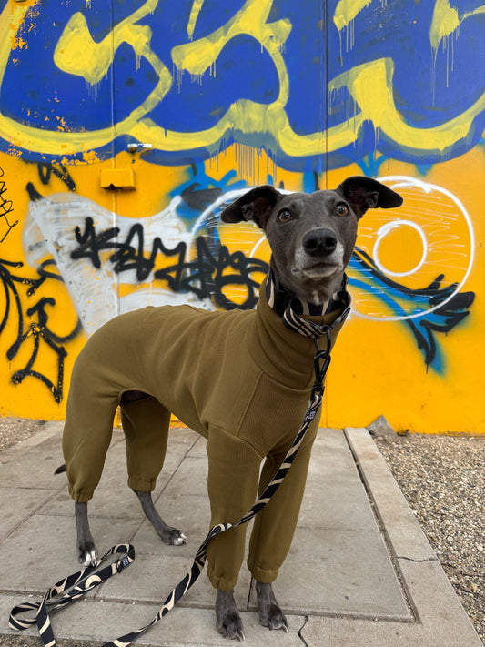 Houndsuit RTS Pickle - 5XL