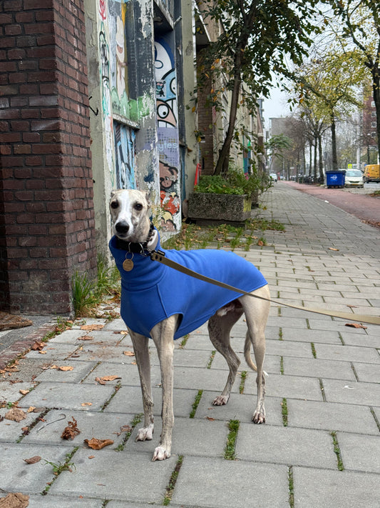 The Daily Sleeveless RTS Cobalt - M