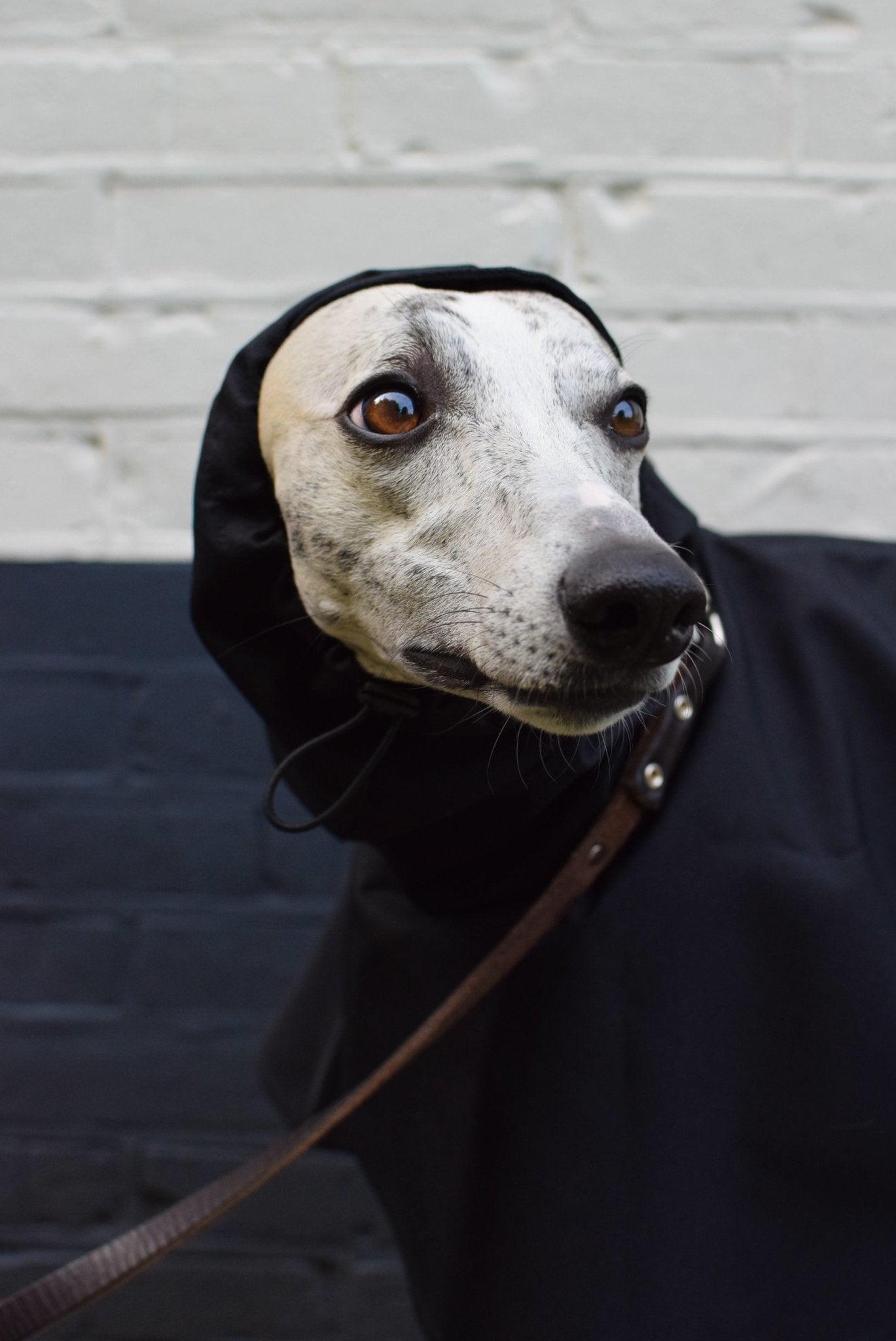 The Dramac in black - Skinny Dog Collective